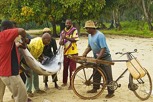 东非,坦桑尼亚,捕鱼者,买,销售,鱼,鱼市,乡村,桑给巴尔岛
