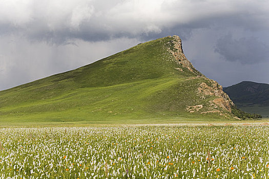 山,岩层,草地,内蒙古,中国