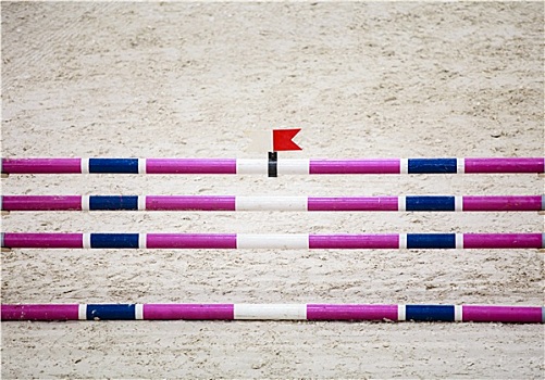紫色紫罗兰,白色,障碍,跳跃,马,骑,竞争