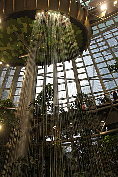 重庆光环购物,纵跨7层的惊艳室内,垂直森林,沐光森林,成为城市新地标