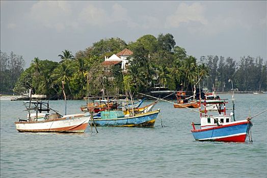 渔船,海岸,印度洋,斯里兰卡,南亚,亚洲