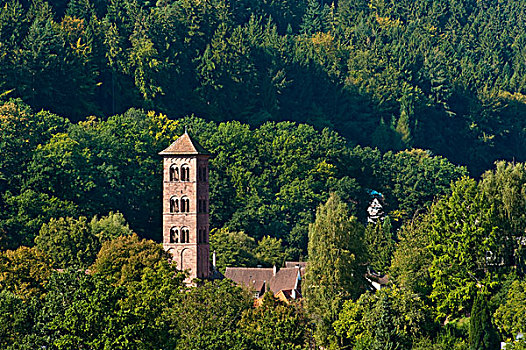 教堂,猫头鹰塔,黑森林,巴登符腾堡,德国,欧洲