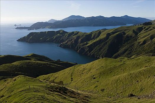 山,绿色,风景,湾,马尔伯勒,南岛,新西兰