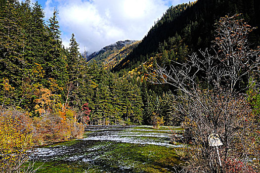 淡水,河流,步道,九寨沟,国家公园,四川