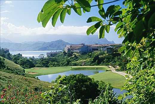 夏威夷,考艾岛,普林斯维尔,胜地,水塘,高尔夫球场,湾,背景