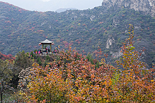 坡峰岭秋色