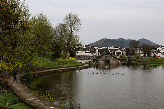 呈坎,安徽,古村落,旅游,景点,水乡,住宅,房子,小桥,拱桥,春天,居民,原生态