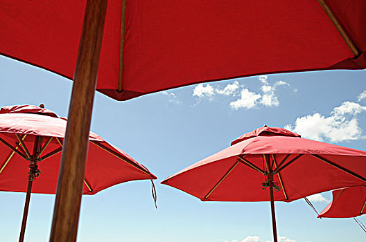 伞,滨海地区,咖啡,海滩,怀希基岛,奥克兰