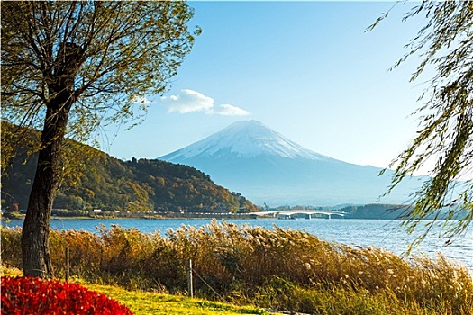 山,富士山,秋天