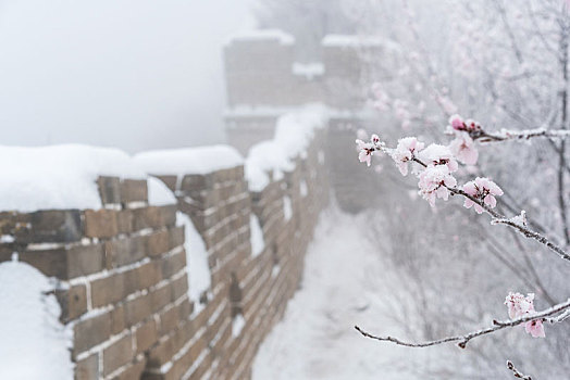 长城冰雪桃花