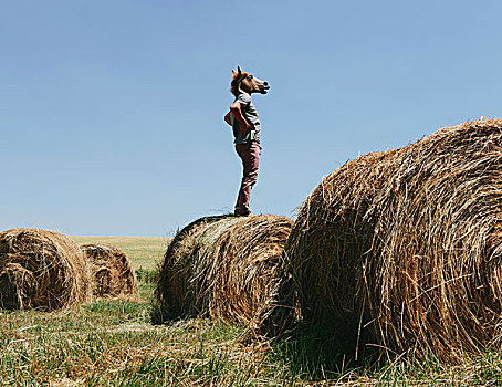 一个,男人,戴着,马,面具,站立,干草包,向外看,上方,风景