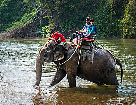 两个,旅游,骑,大象,水中,驱象者,北碧府,省,中心,泰国,亚洲