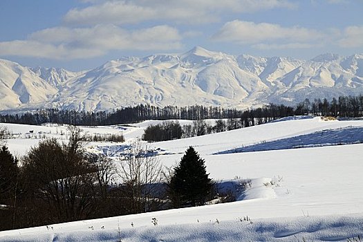 十胜岳山,雪原