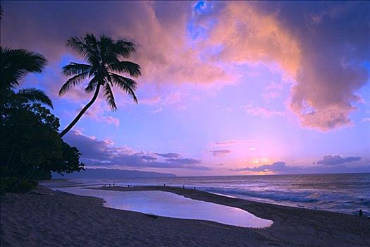夏威夷,瓦胡岛,北岸,漂亮,粉色,紫色,日落