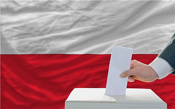 男人,投票,选举,波兰,正面,旗帜