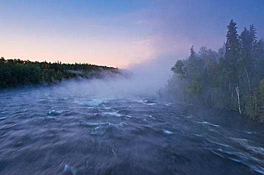 水獭,急流,北方,萨斯喀彻温,加拿大