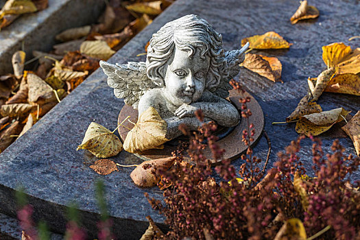 秋叶,天使,小雕像,墓碑,墓地