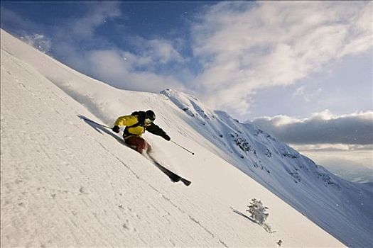 自由式,滑雪者,地形,遮盖,大雪,北方,提洛尔,奥地利,欧洲