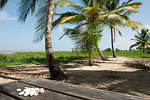 鹅卵石,野餐桌,海滩