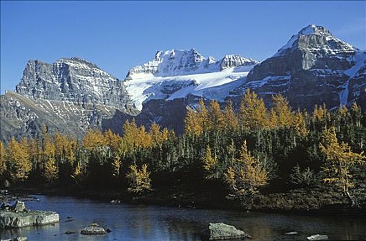 秋天,小路,十峰谷,班芙,公园,一个,著名,远足者,加拿大,艾伯塔省