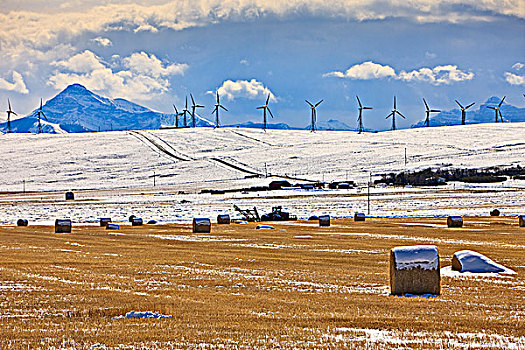 干草包,积雪,雪盖,山峦,风车,南方,艾伯塔省,加拿大