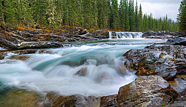 瀑布,绵羊,河,加拿大,落基山脉,卡纳纳斯基斯,艾伯塔省