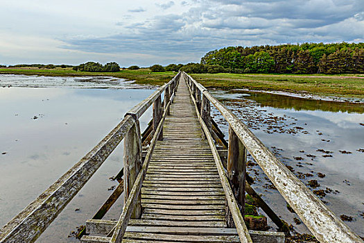 木质,步行桥,上方,湾,东洛锡安,苏格兰,英国