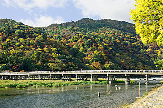 桥,河,岚山,京都,日本