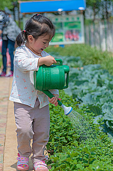 给菜园浇水的小女孩