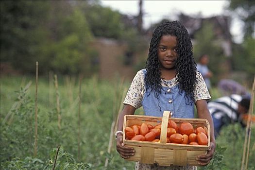 女孩,盒子,有机,西红柿,孩子,许多,底特律,密歇根,美国