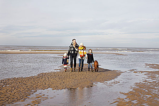 中年,父母,儿子,女儿,狗,漫步,海滩,荷兰