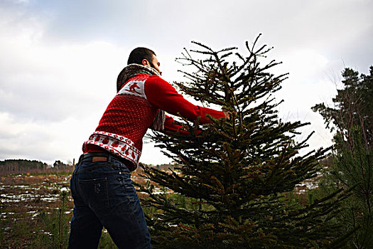 男青年,准备,举起,圣诞树,木头