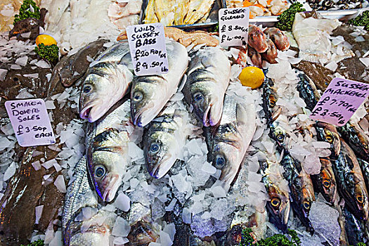 英格兰,伦敦,南华克,博罗市场,鱼肉,货摊,展示,鲈鱼