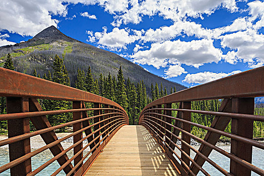 桥,上方,库特尼,河,库特尼国家公园,不列颠哥伦比亚省,加拿大