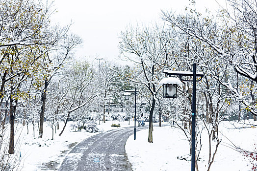 公园雪景