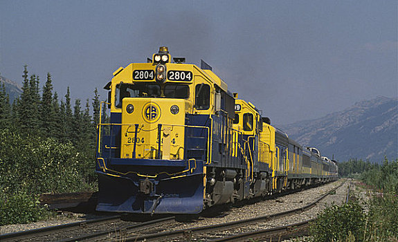 列车,轨道,阿拉斯加,美国