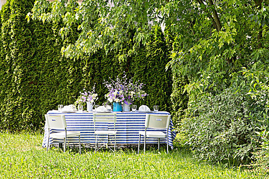 桌子,喜庆,蓝色,白色,夏天,花园