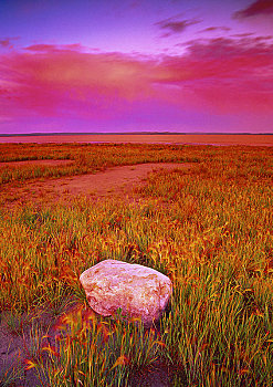 石头,日落,岸边,湖,艾伯塔省,加拿大