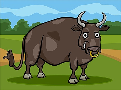 公牛,家畜,卡通,插画