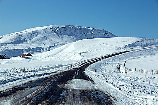 雪路,冬天