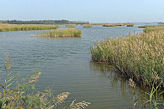 拉里昆国家湿地公园湿地