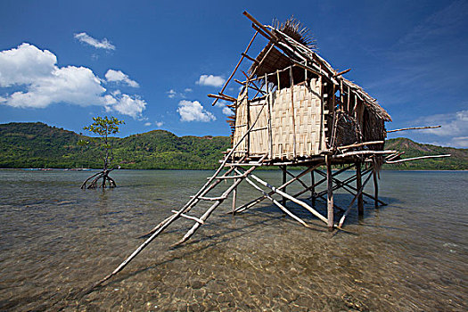 小,茅草屋顶,高脚屋,坐,湾,靠近,渔村,蛇,岛屿,埃尔尼多,巴拉望岛,菲律宾