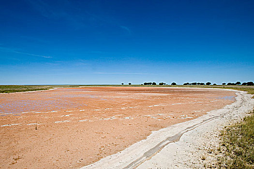 盐,纳姆多尼,埃托沙国家公园,纳米比亚,非洲