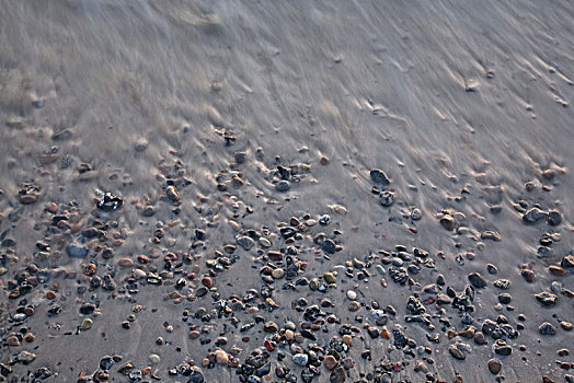 石头,海滩,波罗的海,水疗,半岛,费施兰德-达斯-茨因斯特,梅克伦堡前波莫瑞州,德国