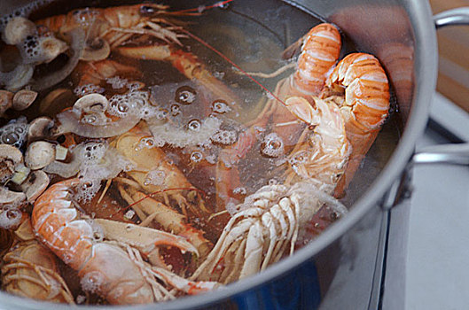烹调,海螯虾
