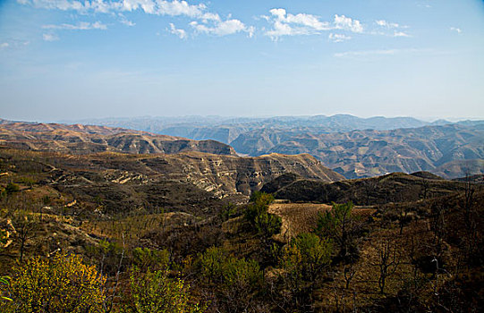 黄河峡谷