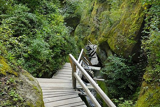 木质,楼梯,溪谷,半岛,康斯坦茨,巴登符腾堡,德国,欧洲