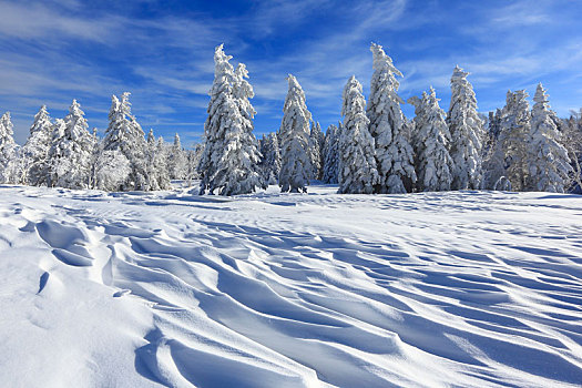 吉林省,国家森林公园,雪景