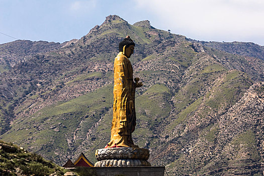 大水沟,西夏文化