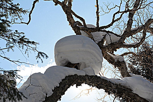 二浪河冬雪